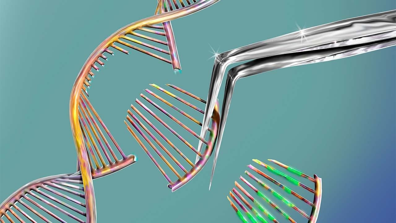  Powerful new gene editing tool adapted from CRISPR-Cas9 can make larger DNA repairs