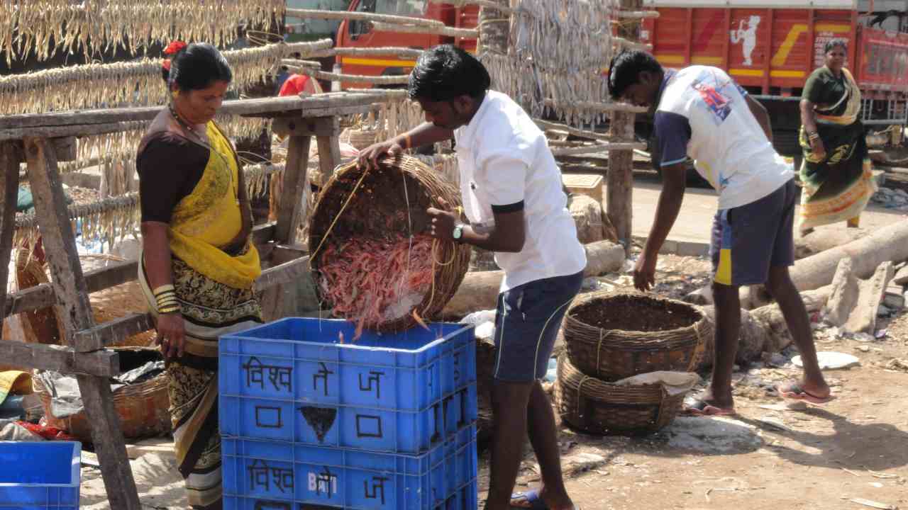 A case of coastal communities adapting to sea-level rise- Technology News, DD FreedishNews