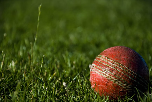 How Cricket Streaming is Transforming Experience for Fans 